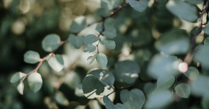 Ice Or Heat, Which Is Better When You're Hurt?